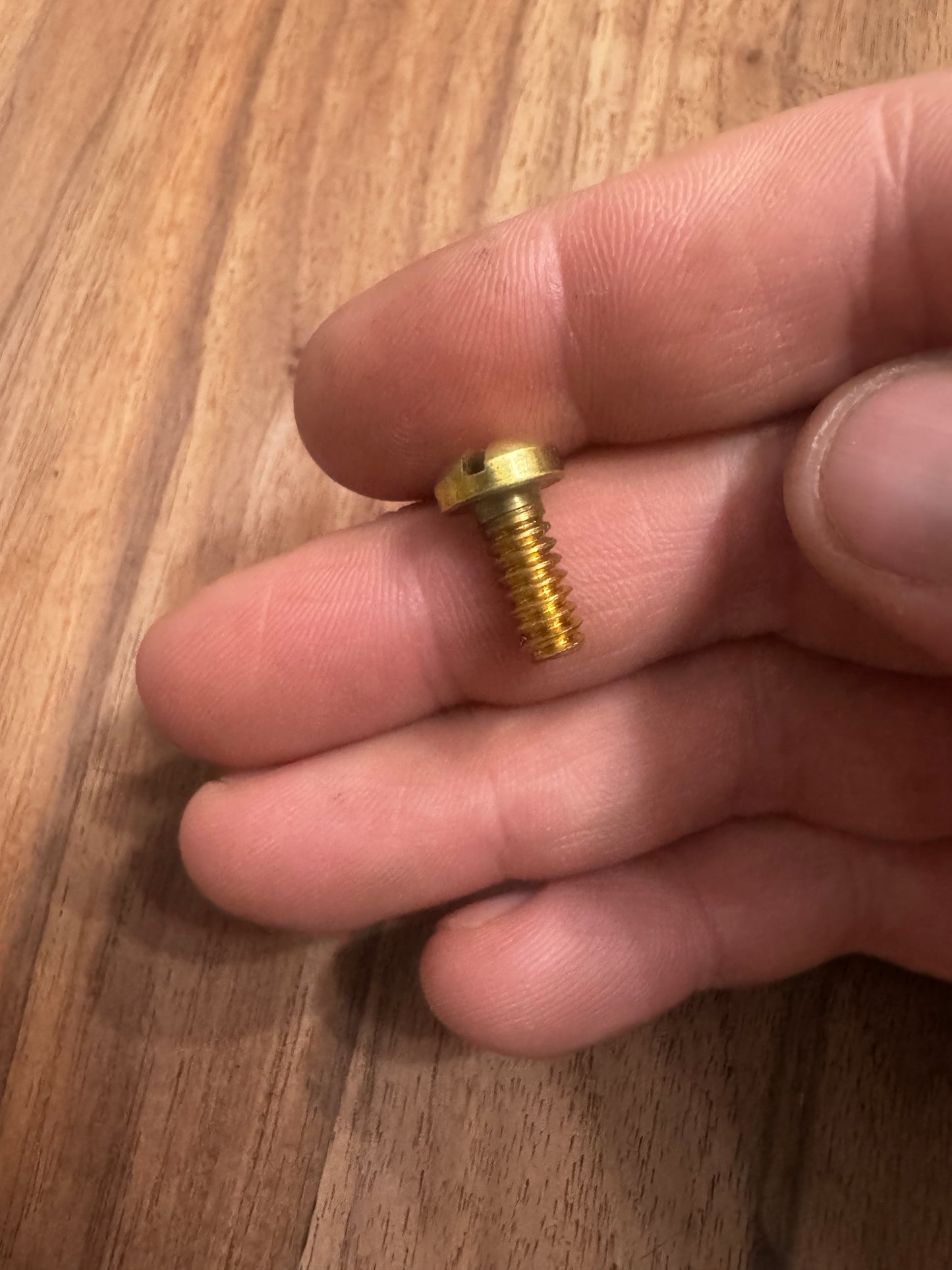 Forward tote screw - brass reproduction